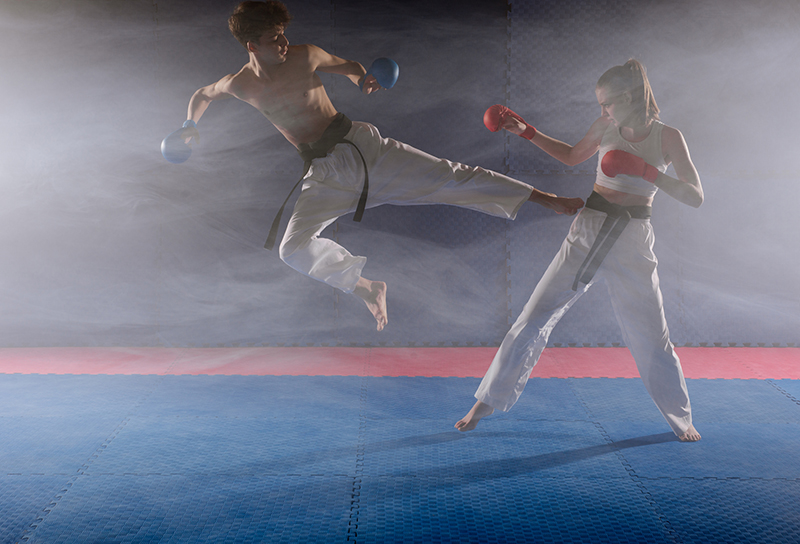 What Does it Take to Become a Successful Mixed Martial Arts Fighter?